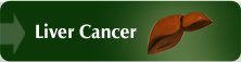Liver Cancer 