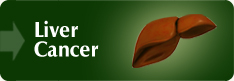 Liver Cancer 